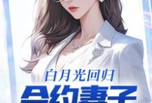 完结版《白月光回归，合约妻子和我离婚了》章节目录在线阅读-读书翁