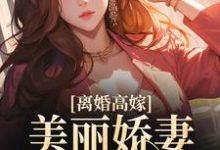 离婚高嫁：美丽娇妻哪里逃这本小说在哪里可以看？哪里有免费试读章节？-读书翁