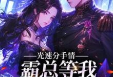 完结版《分手后，她嫁给了偏执总裁》章节阅读-读书翁