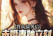 苏航小说《背负债务后，未婚妻她立刻提了退婚》在线阅读-读书翁