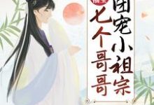 《农门福宝：七个哥哥团宠小祖宗》全集免费在线阅读（顾柠傅小九）-读书翁