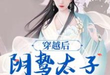 完结版《穿越后，阴鸷太子为爱发疯》章节阅读-读书翁