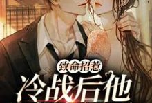 完结版《致命招惹：冷战后他靠撒娇求和》章节阅读-读书翁