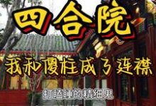 四合院：我和傻柱成了连襟儿张峰傻柱，四合院：我和傻柱成了连襟儿小说免费阅读-读书翁