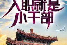 完结版《四合院：啃老亲舅舅，入职就是小干部》免费阅读-读书翁