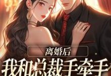 完结版《离婚后，我和总裁手牵手虐哭前夫》免费阅读-读书翁