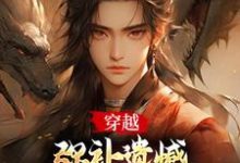 在下张无忌，横行无忌！小说，在下张无忌，横行无忌！张无忌-读书翁