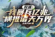 完结版《反派：我暴兵亿兆横推诸天万界！》章节目录在线阅读-读书翁