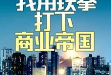 寻找能够免费阅读兵王入红尘：我用铁拳打下商业帝国小说的平台-读书翁