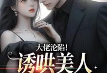 完结版《大佬沦陷！诱哄美人回家放肆宠》章节目录在线阅读-读书翁