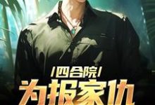 完结版《四合院：为报家仇，搏击高手出动了》免费阅读-读书翁