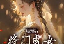 小说《退婚后，将门虎女她名满京城》在线章节阅读-读书翁