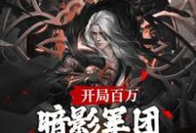 完结版《开局百万暗影军团！缔造不朽帝朝》章节阅读-读书翁