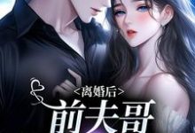 完结版《离婚后，前夫哥苦等我回头》章节目录在线阅读-读书翁