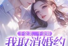 完结版《千金美，千金娇，我取消婚约你哭啥》在线免费阅读-读书翁