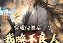 完结版《穿成傀儡皇子？我唤不良人夺证权！》章节阅读-读书翁