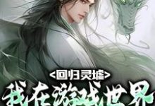 完结版《回归灵墟：我在游戏世界东山再起》章节目录在线阅读-读书翁