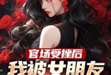 完结版《官场受挫后，我被女朋友甩了》免费阅读-读书翁