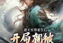 完结版《诸天至尊重生后，开局就被频频挑衅》章节目录在线阅读-读书翁