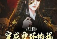 完结版《红楼：穿成贾环的我成了贾府顶梁柱》免费阅读-读书翁