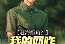 完结版《赶海捞鱼？我的网咋都是塑料袋》章节阅读-读书翁