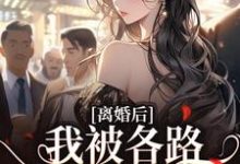 完结版《离婚后，我被各路大佬缠上了》章节阅读-读书翁