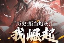 完结版《历史：拒当炮灰，我崛起收复河山》在线免费阅读-读书翁