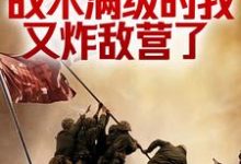 《抗战：战术满级的我又炸敌营了》全集免费在线阅读（林天尘王建堂）-读书翁