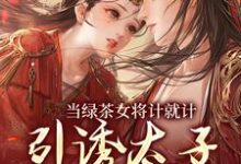 完结版《当绿茶女将计就计，引诱太子沦陷后》章节目录在线阅读-读书翁