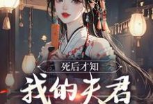 完结版《死后才知，我的夫君早就不在了》在线免费阅读-读书翁