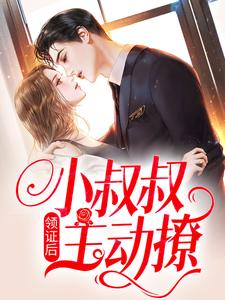 《领证后，小叔叔主动撩》全集免费在线阅读（初霜盛庭）