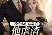 完结版《闪婚冰山总裁后，他虐渣玩上瘾了》章节阅读-读书翁