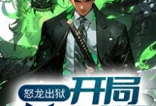 完结版《怒龙出狱：开局奉旨成婚》免费阅读-读书翁