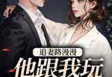 完结版《追妻路漫漫，他跟我玩攻心计》章节阅读-读书翁