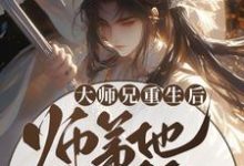 《大师兄重生后，师弟他疯狂追妻》全集免费在线阅读（言烬断未酌）-读书翁