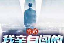 完结版《官路：我亲自闯的谁敢拦》章节阅读-读书翁