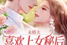 小说《未婚夫喜欢上女秘后，我和初恋好了》章节免费阅读-读书翁