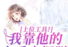 完结版《上位工具？我靠他的宠爱来摆脱》在线免费阅读-读书翁