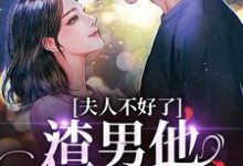 完结版《夫人不好了！渣男他要求爱》免费阅读-读书翁