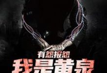 完结版《有怨报怨，我是黄泉摆渡人》章节阅读-读书翁