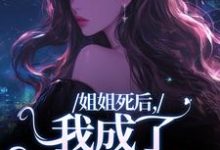 完结版《姐姐死后，我成了争夺礼品》章节阅读-读书翁