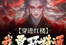 《穿进红楼，我贾环精通朝堂争斗》全集免费在线阅读（贾环）-读书翁