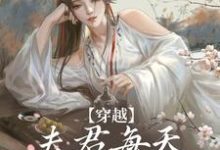 《穿越：夫君每天都在争风吃醋》小说大结局免费试读 沈夏小说-读书翁