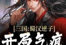 三国：蜀汉逆子，开局气疯诸葛亮（李牧）在线免费阅读-读书翁