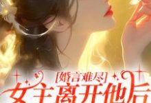 已完结小说《婚言难尽：女主离开他后独当一面》章节在线阅读-读书翁