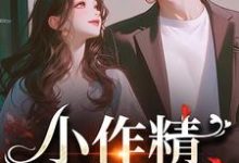 完结版《小作精，我看上你啦》章节阅读-读书翁