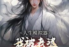 人生模拟器：我被老婆逼成世间极境白棋，人生模拟器：我被老婆逼成世间极境在线无弹窗阅读-读书翁