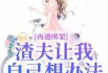 再遇绑架，渣夫让我自己想办法（苏夏顾帆）在线免费阅读-读书翁