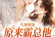 完结版《久别重逢：原来霸总他是纯爱战神》章节阅读-读书翁