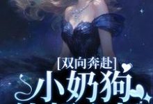 完结版《双向奔赴，小奶狗他超心机》在线免费阅读-读书翁